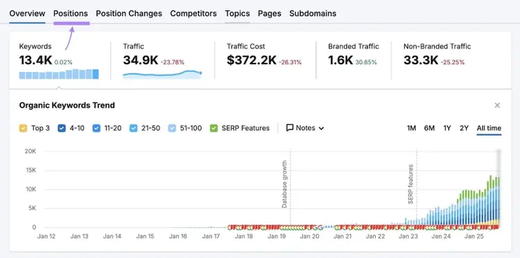Organic Rankings overview report with the "Positions" tab highlighted.