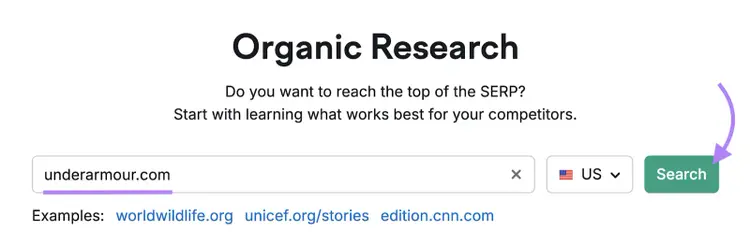 domain entered into Organic Rankings tool