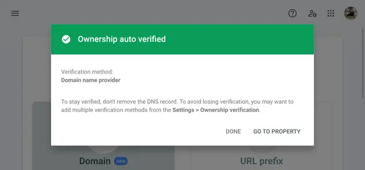 Google Search Console confirmation showing domain ownership automatically verified through the domain name provider