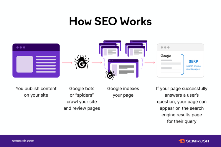 Diagram showing SEO process: publish content, Google crawls, indexing, SERP placement