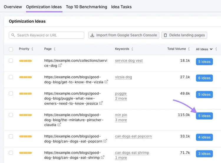 Optimization Ideas on the On Page SEO Checker with "5 ideas" next to a page clicked.