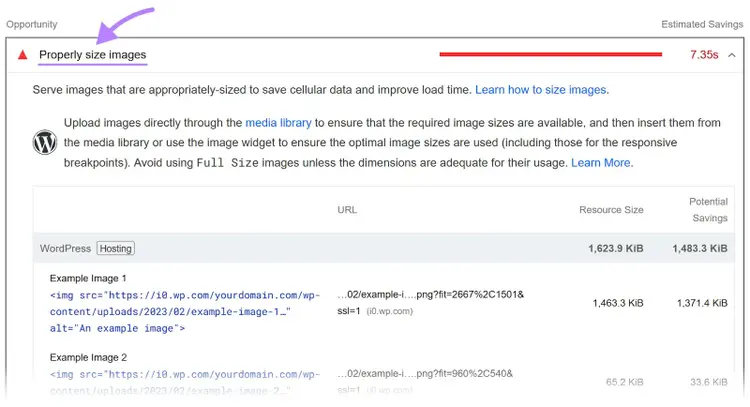"Properly size images" opportunity section