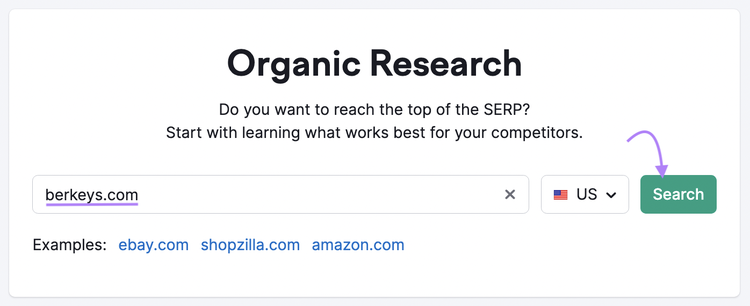 Searching for "berkeys.com" in Organic Rankings tool search bar