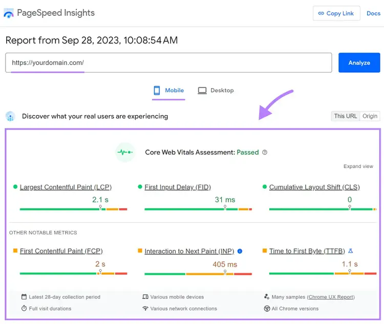 PageSpeed Insights's Core Web Vitals assessment report