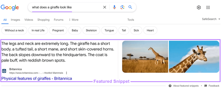 Google SERP for "what does a giraffe look like," showing a featured snippet with a short paragraph, link, title, and images.