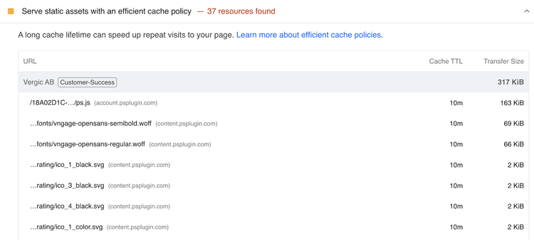 Lighthouse report shows some static assets have 10m cache policy