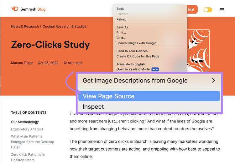 “View Page Source" button
