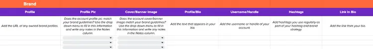 "Brand" section of the social media audit template