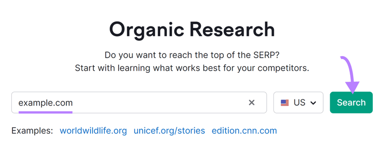 Organic Rankings tool search bar