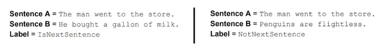 An example of simple task for training Google’s BERT