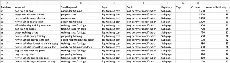 A spreadsheet with data exported from Keyword Strategy Builder showing selected page ideas along with the keywords grouped under each.