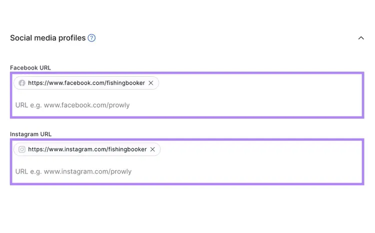 Links to social profiles on different platforms, including Facebook, X, and Instagram, on Brand Monitoring tool settings.