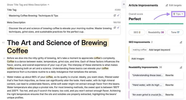 AI Article Generator with a blog post generated on the left and article improvement tips on the right.
