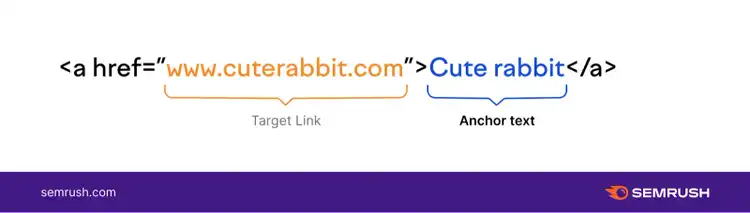 A visual showing where to locate "anchor text"