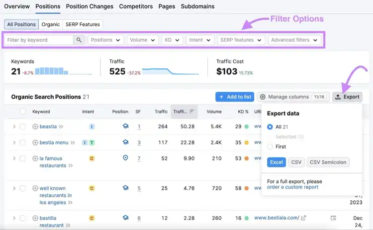 Keywords filters highlighted under the "Positions" report in Organic Rankings tool