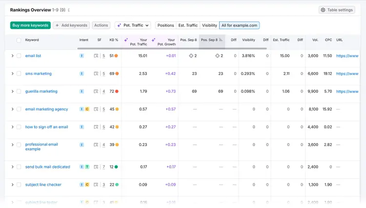 Rankings Overview table listing tracked keywords with positions, traffic, and other SEO metrics
