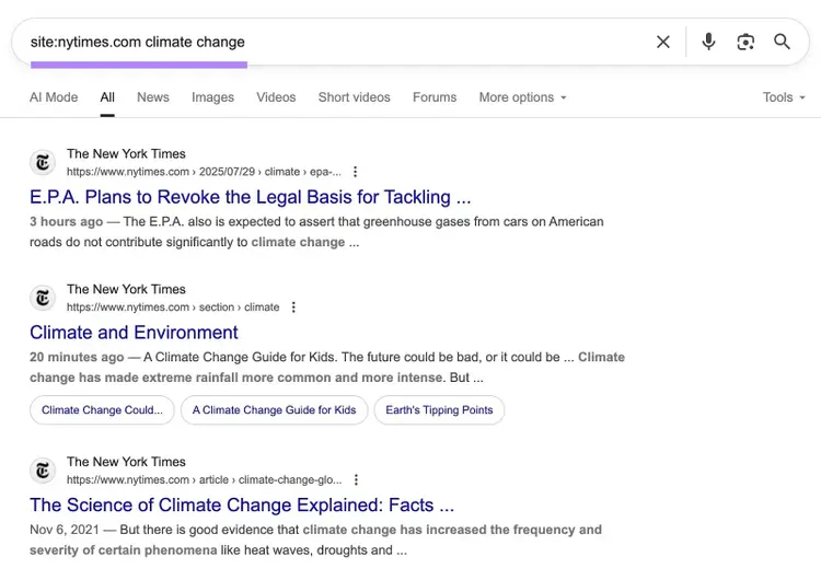 Google SERP with the "site:" search operators applied showing only results from a specific domain.