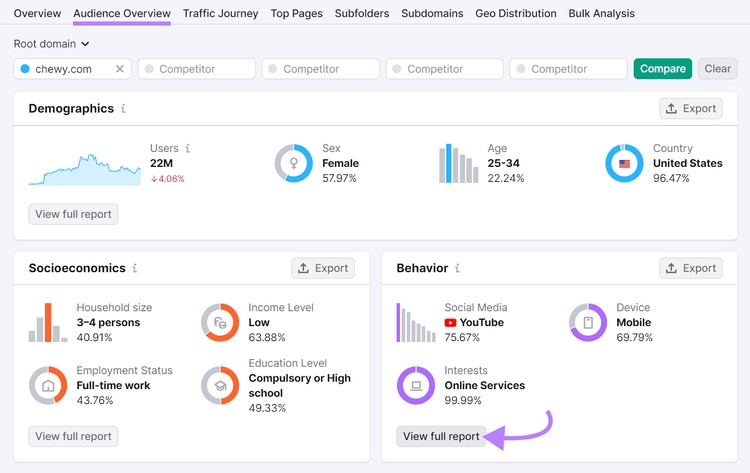 Audience Overview dashboard in Traffic Analytics tool