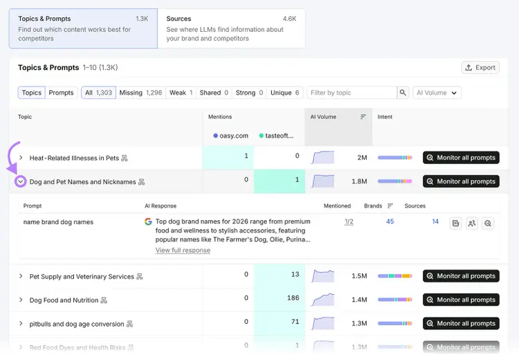 Competitor Research topics and prompts report with expanded AI response details