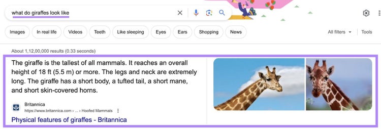 Screenshot: Google featured snippet showing giraffe definition with images of adult giraffes
