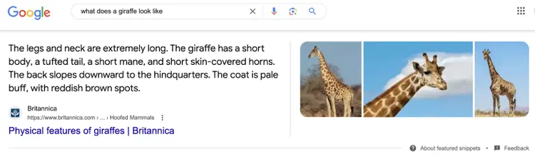 featured snippet serp feature addresses the query and provides pictures
