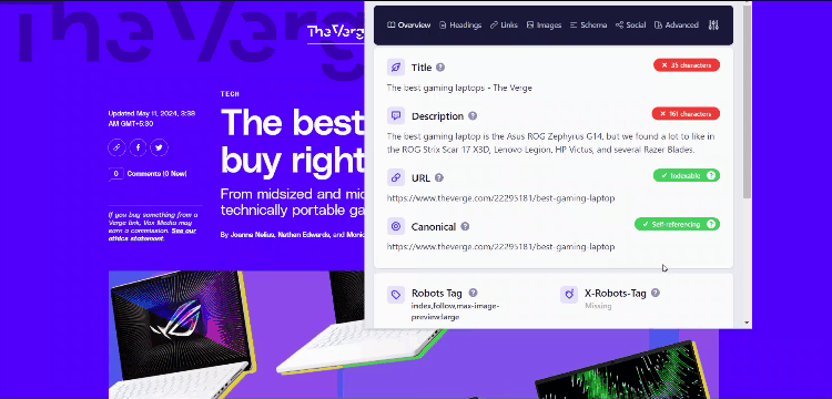 Detailed SEO extension displaying page statistics: word count, headings, images