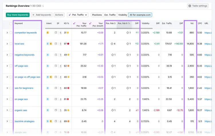 Rankings overview table listing keywords with positions, visibility, estimated traffic, and search volume columns highlighted.