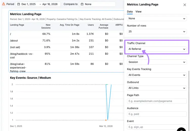 AI referral traffic filtering in my reports