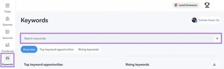 "Keywords" tab on VidIQ with the search bar highlighted.