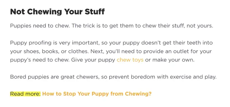 Puppy care article linking to related content about chew toys and how to stop a puppy from chewing