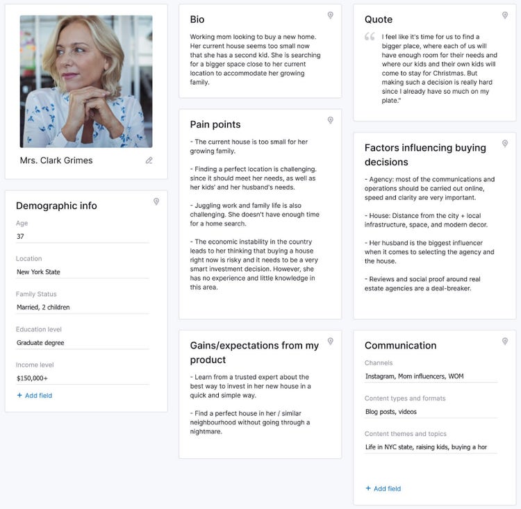 Completed user persona template in Semrush Persona tool