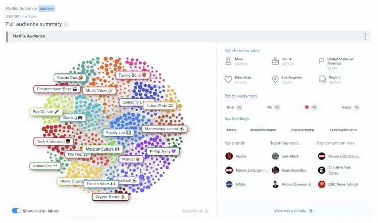 Netflix Audience Intelligence showing demographic clusters