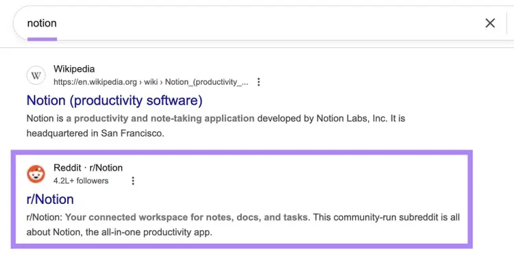 Google SERP for the term "notion" with the r/Notion subreddit appearing in the results.