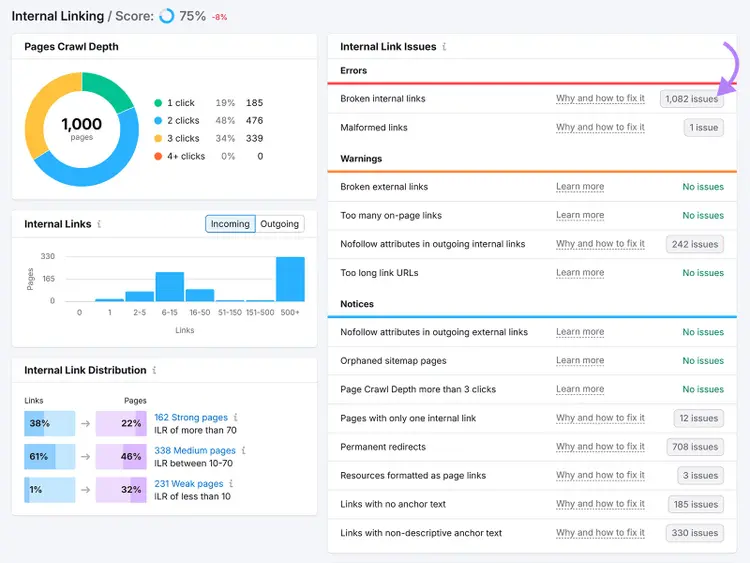 Internal Linking report showing crawl depth, link distribution, and internal link issues with broken links highlighted.