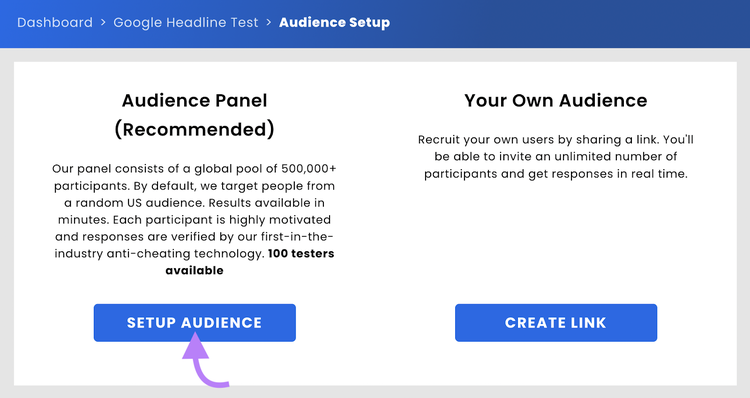 "Audience Setup" window in Headline Optimizer tool