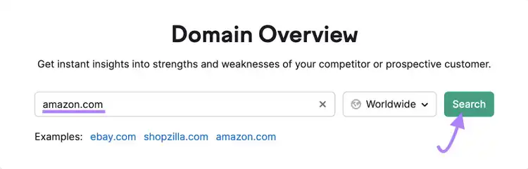 "amazon.com" entered into the Domain Overview search bar
