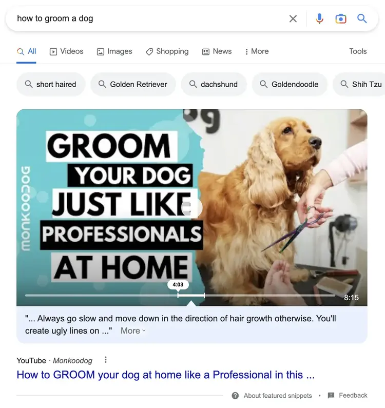 Google video results for dog grooming with featured YouTube video
