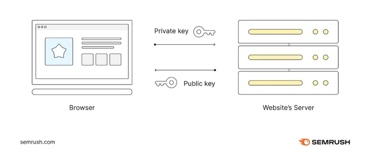 The browser and website's server exchange keys once the SSL/TLS certificate is verified