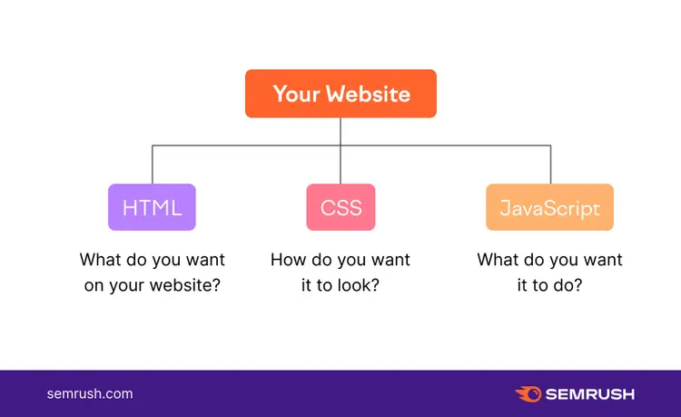 Your website branching into HTML or what do you want on your website, CSS or how do you want it to look, or JavaScript aka what do you want it to do.