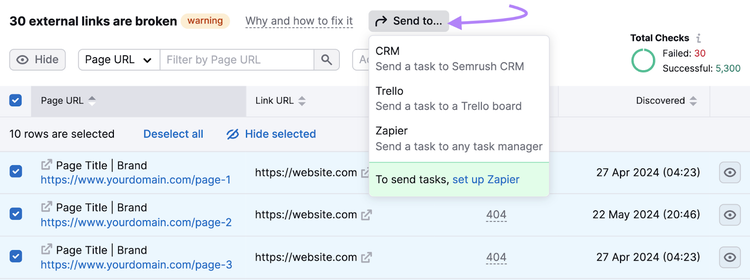 All 30 issues are check marked and the "Send to..." button options are highlighted