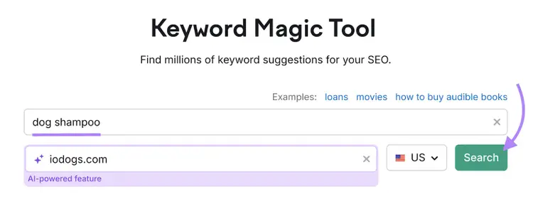 Keyword and domain are entered into the tool