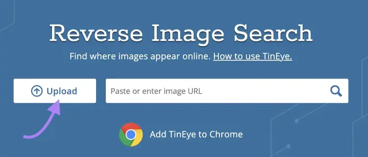 Tineye reverse image search with upload button highlighted