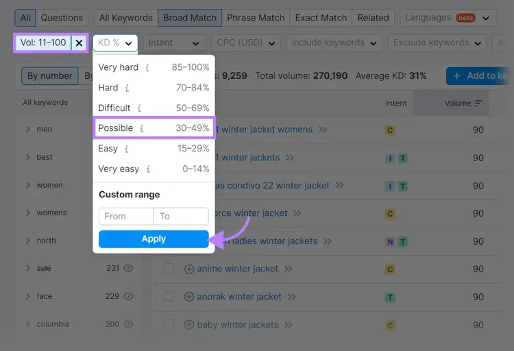 Filters within the Keyword Magic Tool
