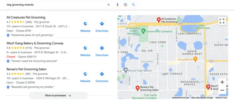 Google Local Search results for dog grooming showing map and business listings