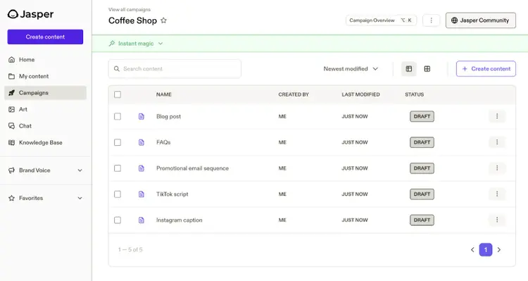 AI copy drafts are listed for blog post, faqs, promotional emails, tiktok script, and instagram caption based on one request.