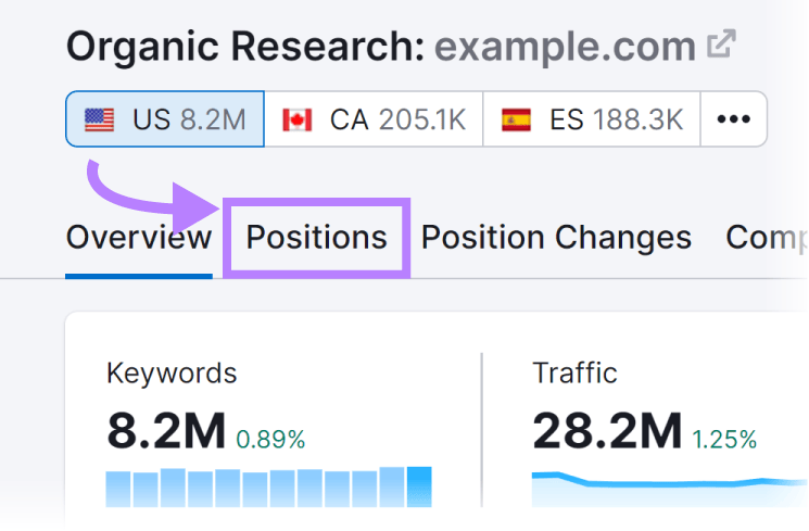"Positions" tab highlighted in Organic Rankings tool