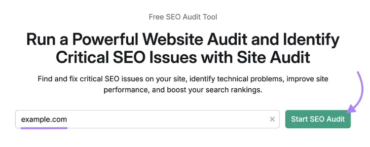 Domain is entered into the tool.
