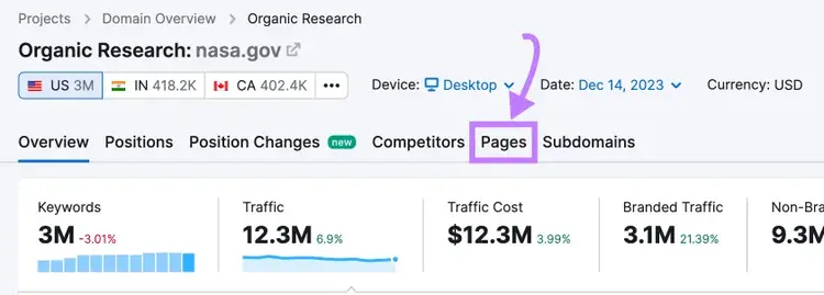 "Pages" tab selected in the Organic Rankings tool