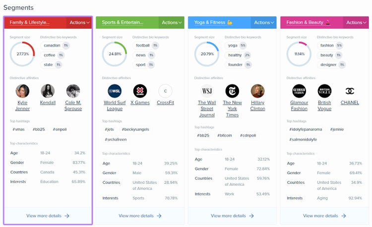 Segments cards section of Audience Intelligence report