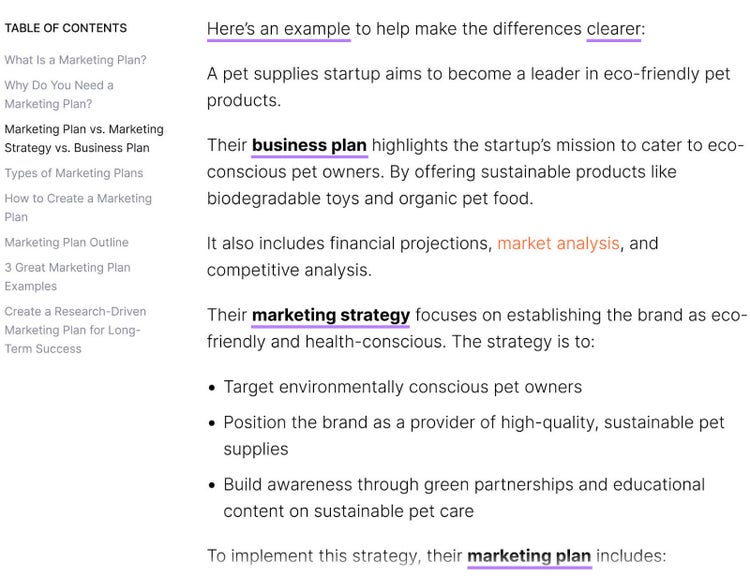 Blog section discussing an example of a pet supplies startup's business plan vs marketing strategy vs marketing plan.